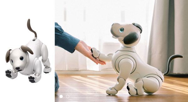 ソニー、次世代aiboの研究を東大・UCバークレーと連携し展示へ